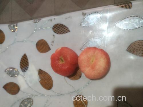 寿桃与伊面食材摆盘图
