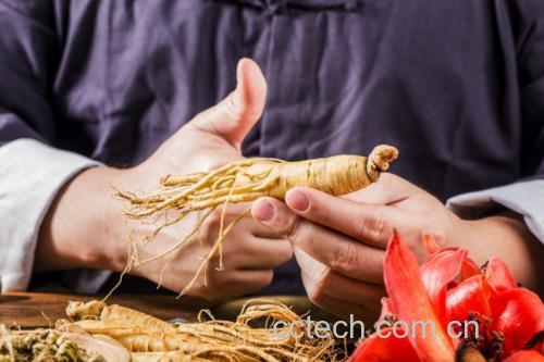 参鹿鞭片使用场景图