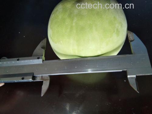 寿桃模具定型过程