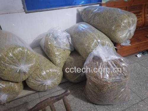 金虫草包装与储存示意图