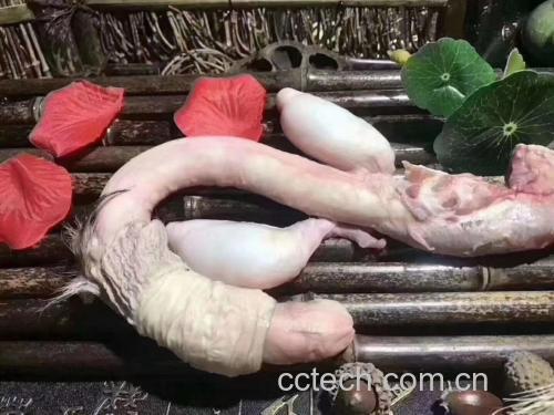 女性食用鹿鞭的营养分析