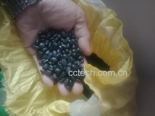 浸泡中的黑豆与黄豆
