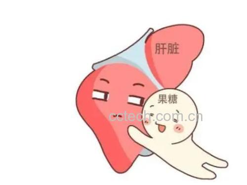 果糖代谢示意图