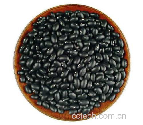 黑豆红枣枸杞豆浆
