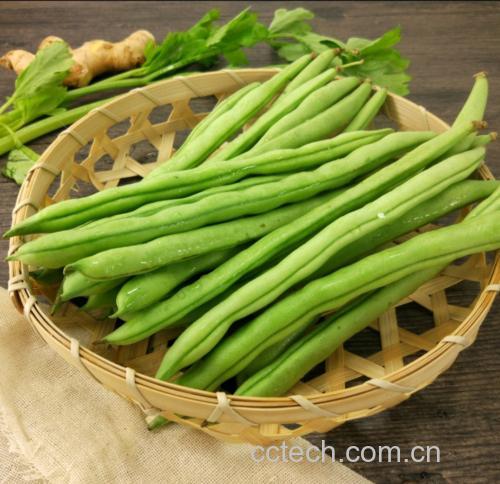 青豌豆清洗后的特写照片