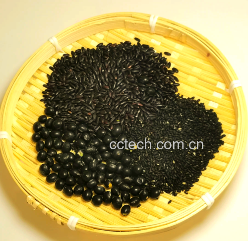 黑豆与黑米实物对比图