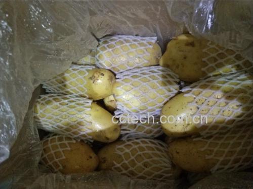 青豌豆小零食装入密封罐的照片