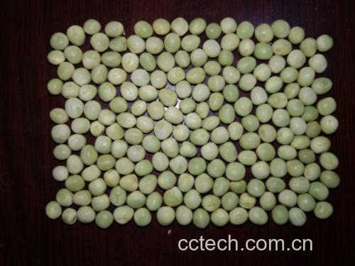 炸青豌豆成品展示图