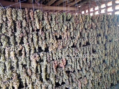 酸梨干制作过程