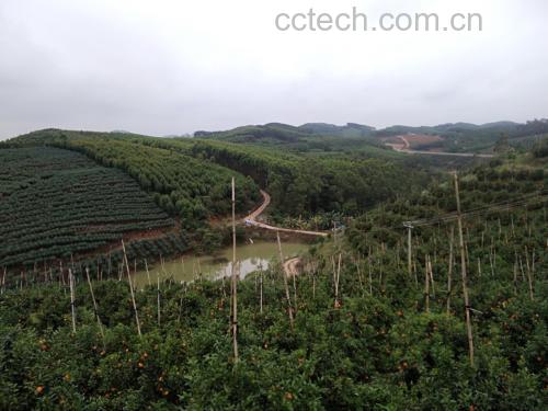 山酸梨与常见水果的钾含量对比图
