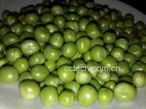 青豌豆成品图