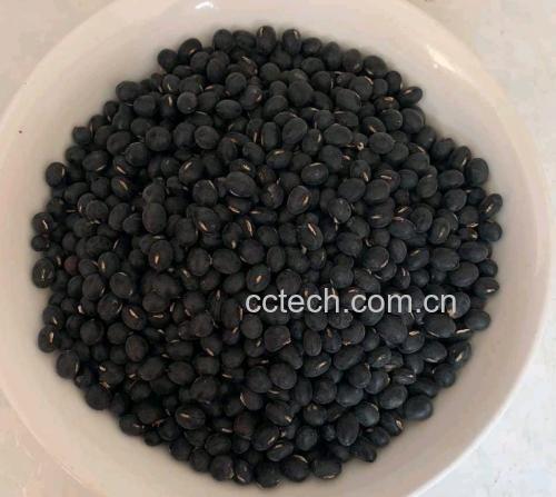 炒制黑豆过程