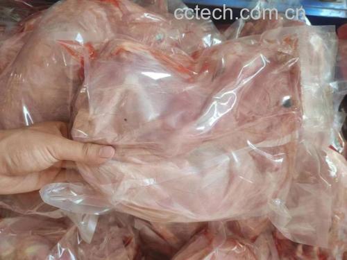 白条羊整体外观
