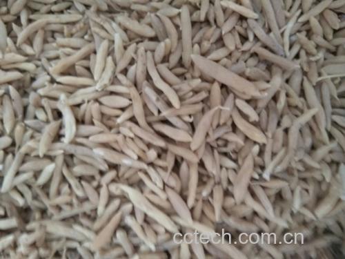 北沙参的几种常见食用方式展示图