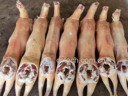 白条羊肉整体展示图