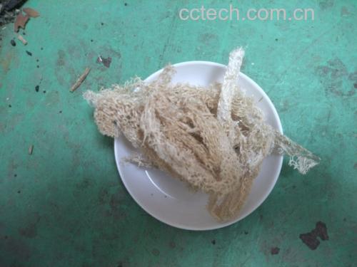 野菊花茶成品展示