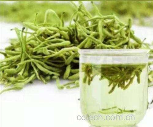 金银花与野菊花泡水的成品图