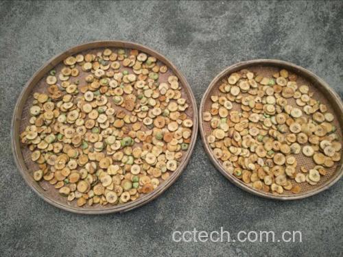 栀子与野菊花干品对比图