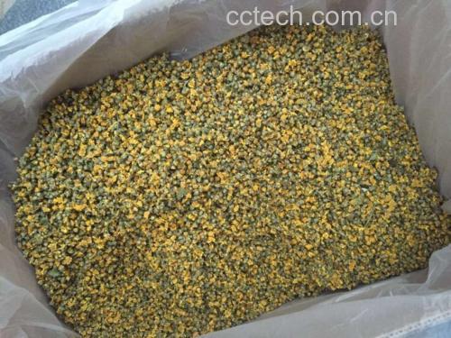 决明子和野菊花泡水的材料展示