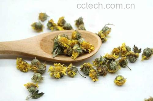 子姜与菊花煮水的场景