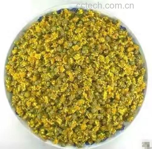 野菊花茶饮展示图
