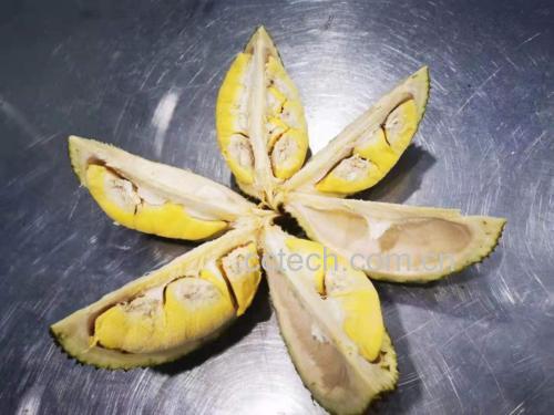 金枕头榴莲肉在烘焙甜点中的应用