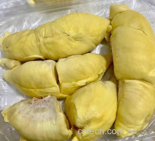 金枕头榴莲果肉切片展示