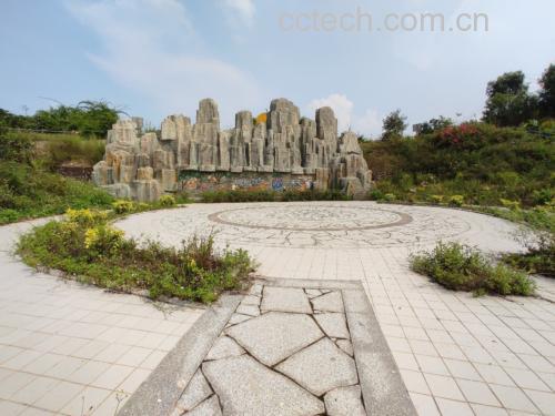 沙田柚果园种植场景