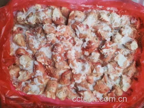 鸡头参冷藏冷冻对比图