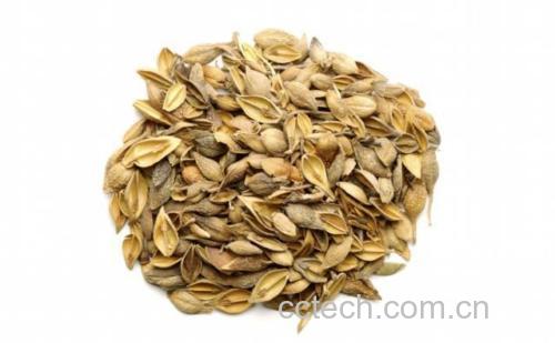 青翘茶饮成品图