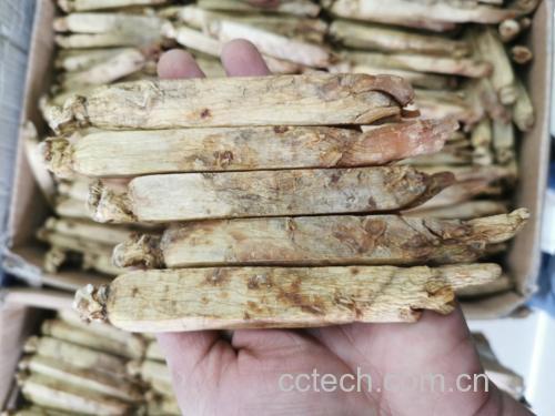 高丽参加工与保存方式
