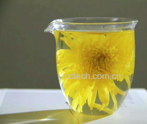 金丝皇菊茶冲泡效果图