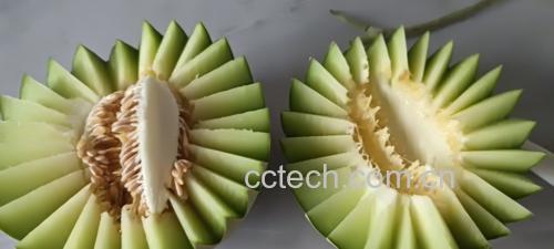 网纹瓜对半切开示意图