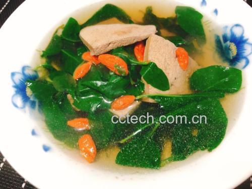 侧柏叶药膳图