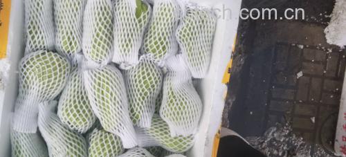 网纹瓜果盘搭配酸奶与薄荷
