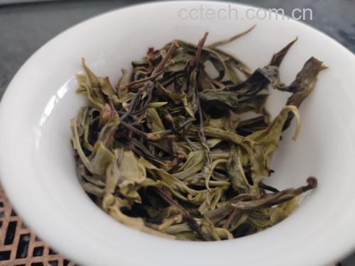 龙柏茶饮展示