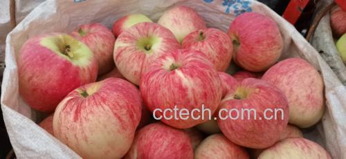 红星苹果与其他常见苹果品种的营养对比图