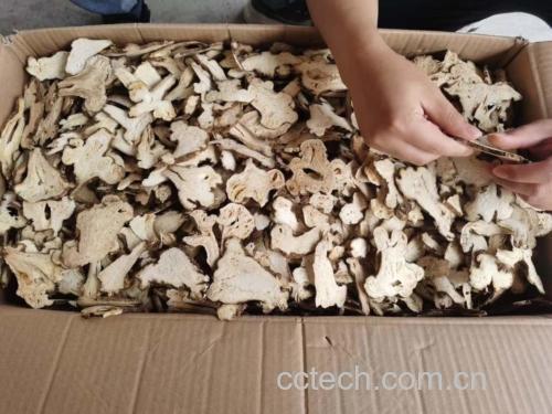 白术药材检测图