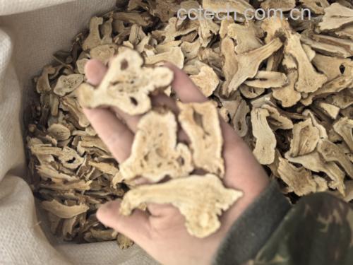 岑林白术丸储存与包装示意图