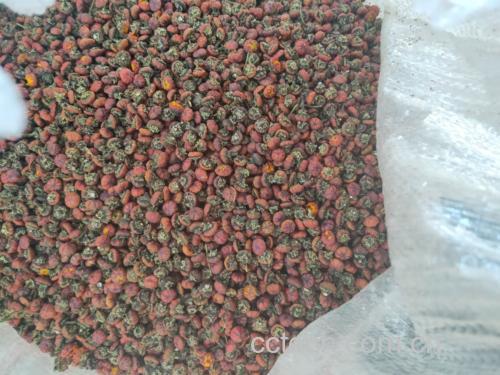 胎菊王与其他中药材搭配示意图