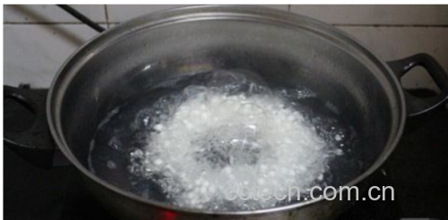 白皮松煮水过程展示