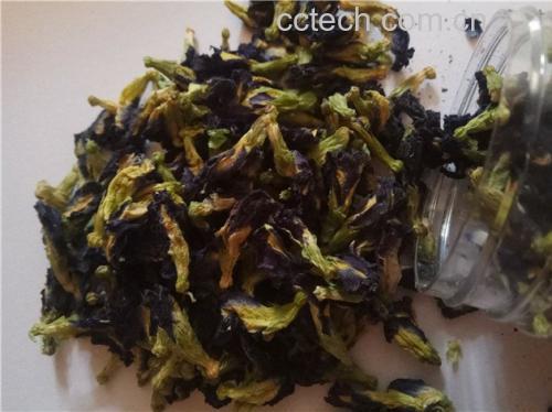 侧柏籽磨粉冲泡