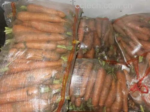 红皮萝卜选购与储存技巧图