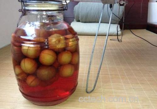 红梅果子泡酒过程展示