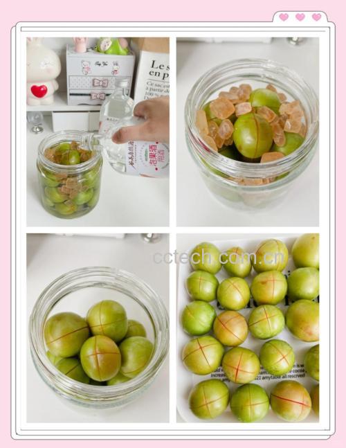 红梅果酒制作过程