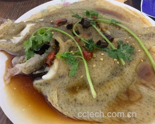 蒸好的多宝鱼成品图
