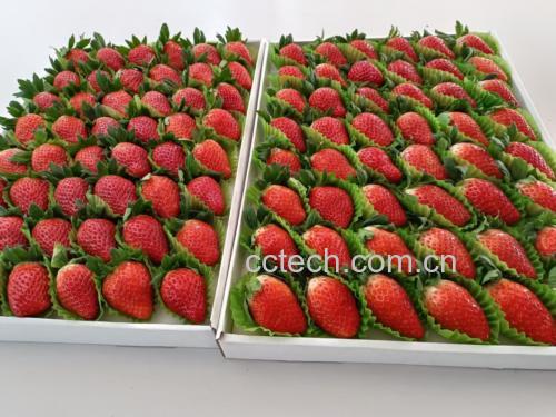 奶油草莓成品图