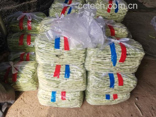 白不老芸豆包装展示图