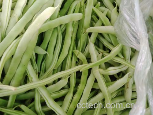 白不老豆角与新鲜鸡蛋的组合,摆放在厨房案板上