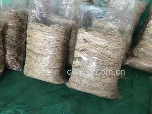 成品装罐展示